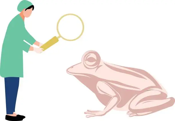 Vector illustration of The boy is researching a toad.