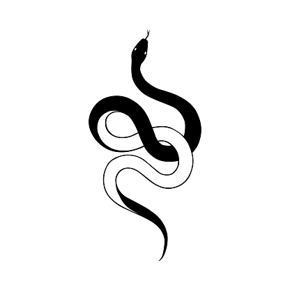 The snake icon. A black silhouette of a snake with its tongue sticking out. A viper in a beautiful pose. The symbol of the Chinese calendar 2025, 2037, 2049, 2061, 2073. Vector illustration.