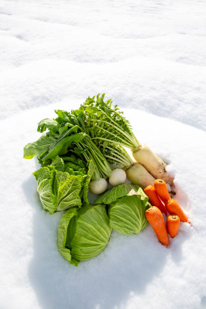 istock Overwintering vegetables, vegetables under snow, vegetables under snow, Japanese winter vegetables 2111319248