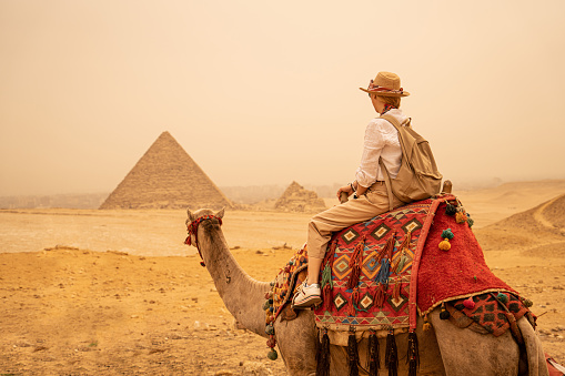 Tourist woman in vacation traveling riding a camels in front of pyramids. Egypt, Cairo - Giza