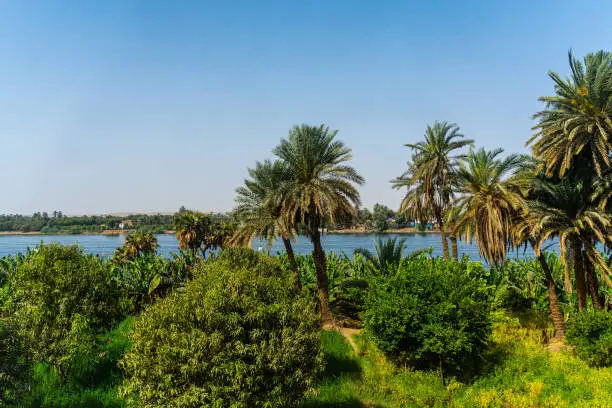 Landscape along the Nile.River Nile in Egypt