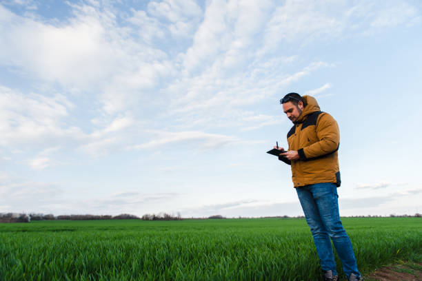 istock Young farmer in a fresh wheat field 2111394976