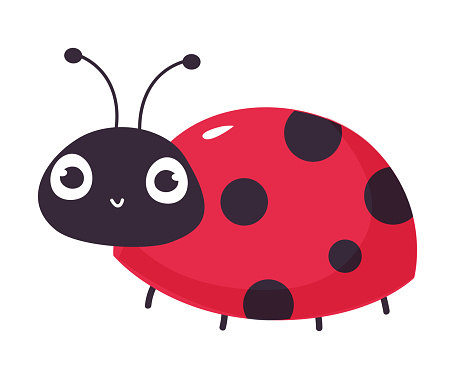 Cheeful ladybug. Cute little ladybird insect cartoon vector illustration isolated on white background