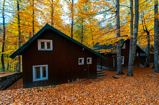 Autumn view of Yedigoller National Park in Bolu. A small wooden house in the most beautiful natural place of Turkey.