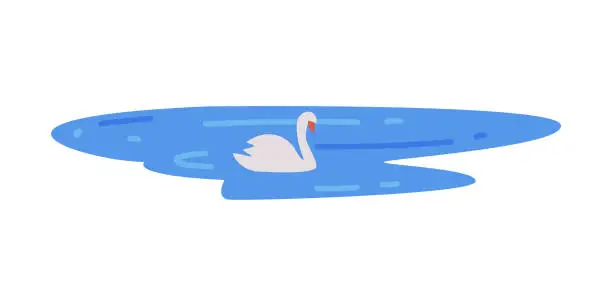 Vector illustration of White Swan Swimming in Blue Pond Vector Illustration