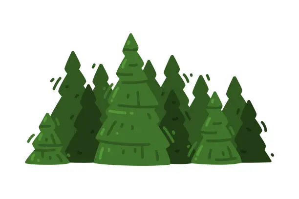 Vector illustration of Green Fir Tree as Rural Landscape Element Vector Illustration