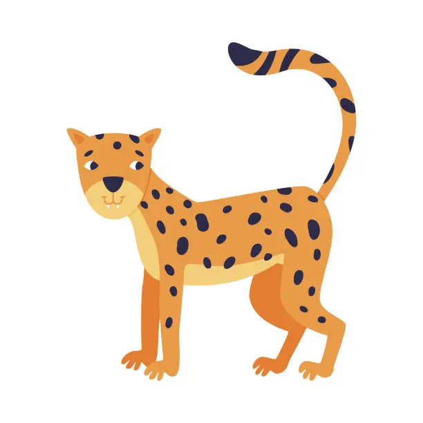 Vector illustration of Cute Spotted Leopard as Wild African Animal Standing Vector Illustration