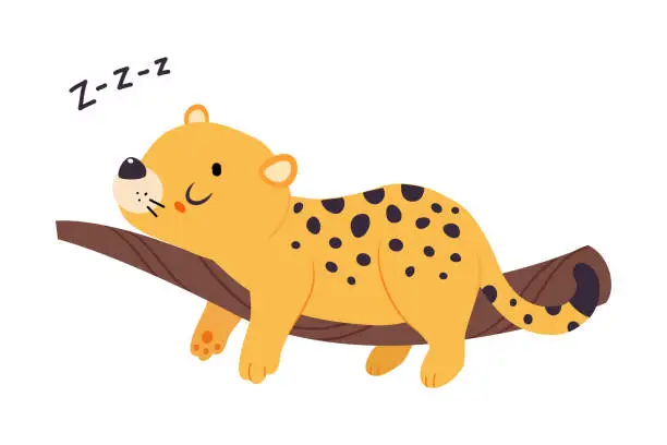 Vector illustration of Cute Leopard or Jaguar Cub Sleeping on Tree Branch Vector Illustration