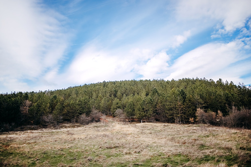 Photo of mountain top on beautiful day taken on Serbian mountain