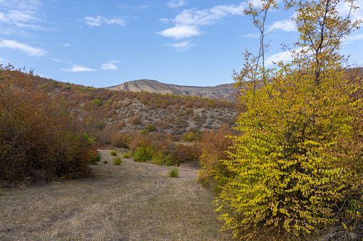 Small field among the mountains with grass and bushes. Autumn colors of red, yellow, green and orange leaves and bushes. Clear blue sky and clouds. Hills and peaks.