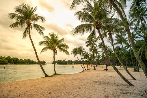 Sentosa Island, Singapore. Sentosa beaches reveal paradise of bright sands and palm trees. idyllic setting invites relaxation, with turquoise waters gently lapping shore, creating tropical haven