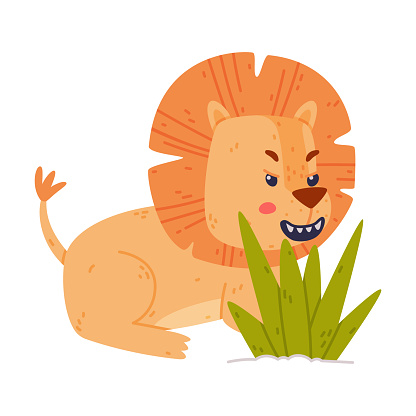 Funny Lion Character with Mane Roaring Sitting Behind Green Grass Vector Illustration. African Mammal with Cute Snout