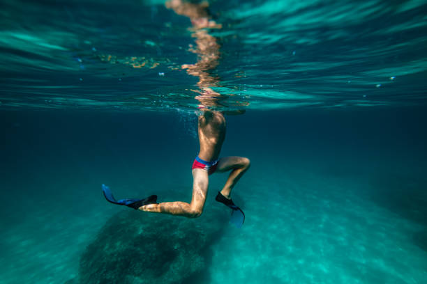 Side view of crop anonymous teen boy floating in flippers underwater near coral reef in turquoise transparent ocean
