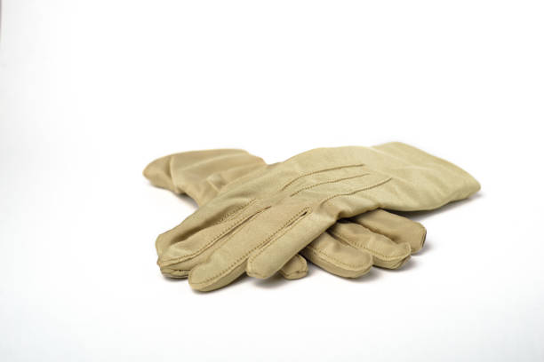 Women's gloves isolated on white background.