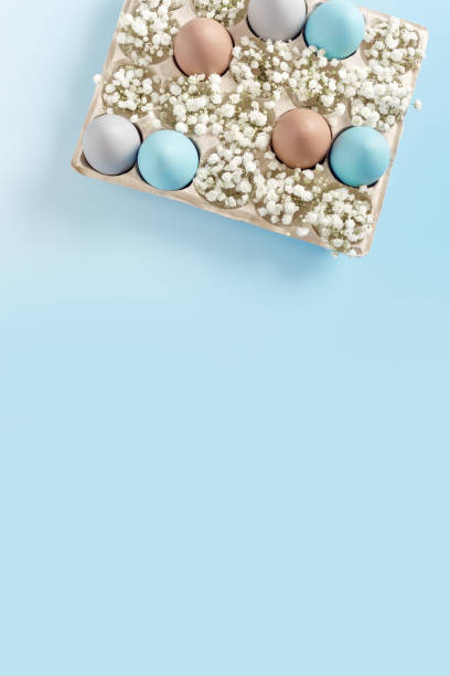 istock Pastel Easter Eggs with white Flowers in Carton box on Blue Background, top view chicken egg painted sky blue, beige colors. Easter celebration concept. Festive food, minimal still life holiday 2111537122