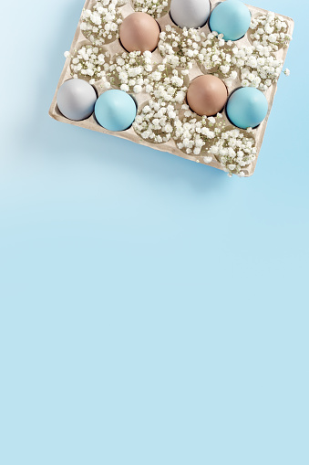 Pastel Easter Eggs with white Flowers in Carton box on Blue Background, top view chicken egg painted sky blue, beige colors. Easter celebration concept. Festive food, minimal style still life holiday