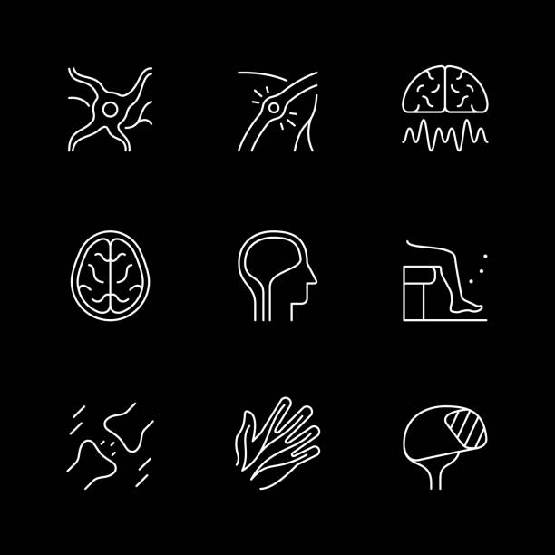 ilustraciones, imágenes clip art, dibujos animados e iconos de stock de set line icons of neurology - brain human spine neuroscience healthcare and medicine