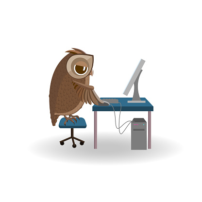 Owl At Computer Owl Working On The Computer Stock Illustration - Download Image Now ...