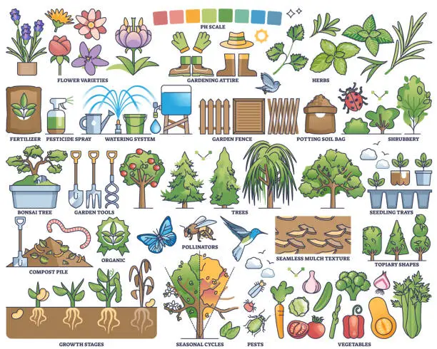 Vector illustration of Plants and horticulture for gardening and seedling outline collection set