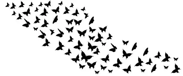 Vector illustration of flock of butterflies silhouette. Vector illustration