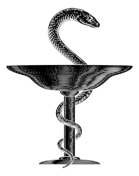 Vector illustration of Bowl of Hygieia Snake Medical Pharmacist Icon