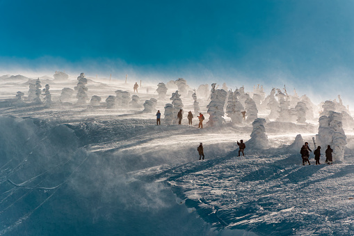 Hikers and skiers around frozen trees and rime field at the famous \