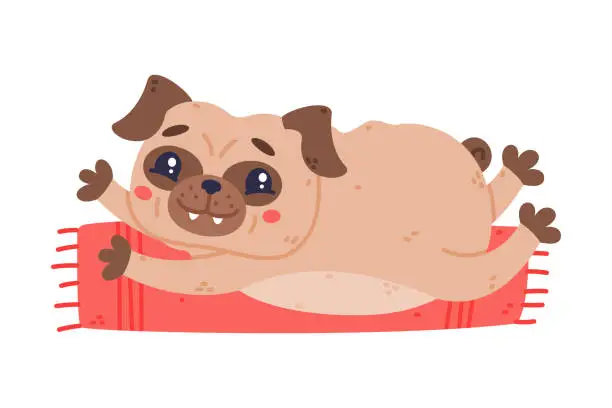 Vector illustration of Funny Pug Dog Character with Wrinkly Face Lying on Mat in Yoga Pose Vector Illustration