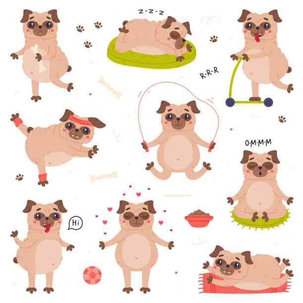 Vector illustration of Funny Pug Dog Character with Wrinkly Face Engaged in Different Activity Vector Set