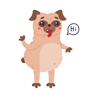 Funny Pug Dog Character with Wrinkly Face Greeting Saying Hi Vector Illustration. Purebred Doggy with Fawn Coat