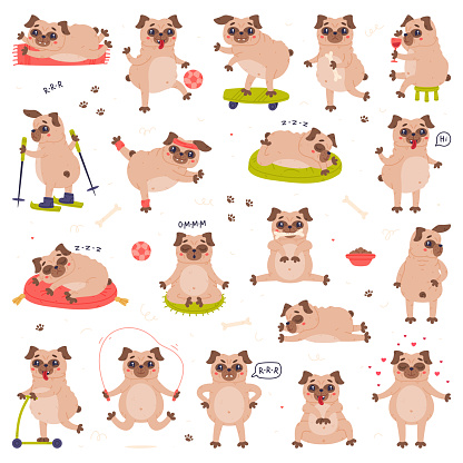 Funny Pug Dog Character with Wrinkly Face Engaged in Different Activity Vector Set. Purebred Doggy with Fawn Coat