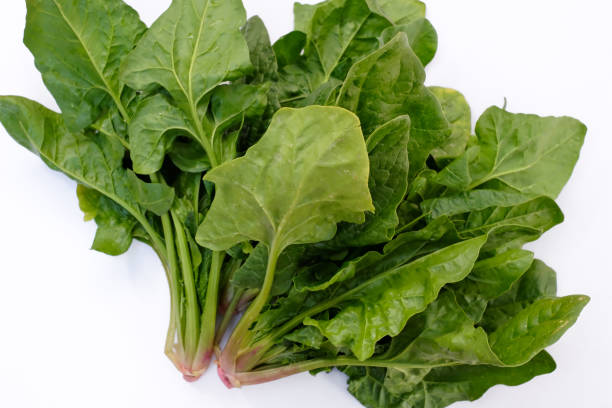 istock This is a photo of spinach 2111584486
