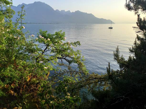 Evening by the lake Geneva
