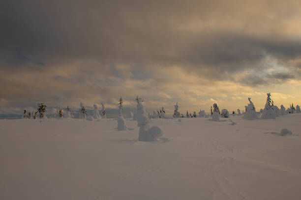 Winter time in Riisitunturi National Park