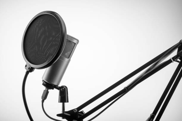 istock Condenser professional microphone with black pop filter on stand. 2111623171