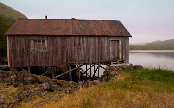 istock Shag by the Fjord 2111639629