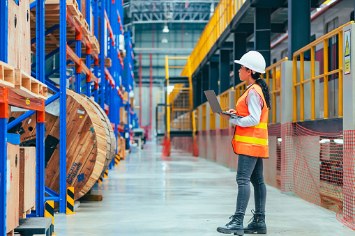 the worker is depicted amidst the organized chaos of a bustling warehouse, engaged in tasks such as inventory management, order fulfillment, or logistical operations.