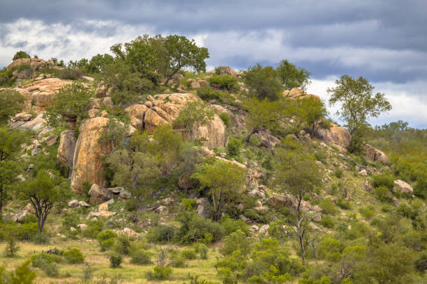 istock Rocky outcrop or koppie Afsaal area 2111665783