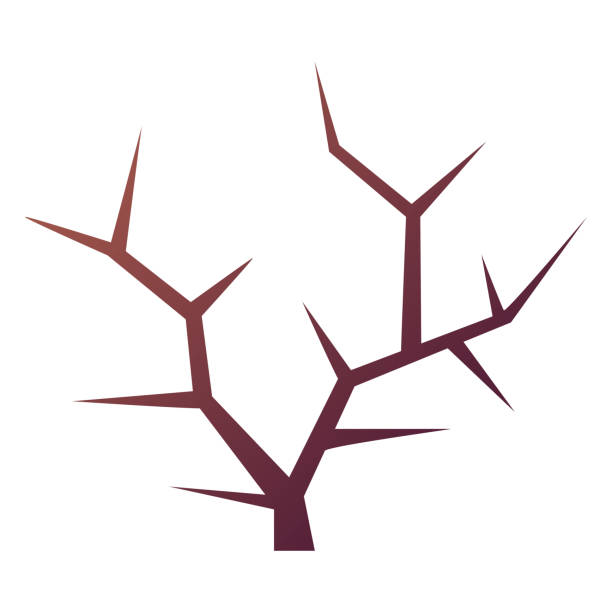 ilustraciones, imágenes clip art, dibujos animados e iconos de stock de dry bare tree as desert element vector illustration - computer graphic image stick tree trunk