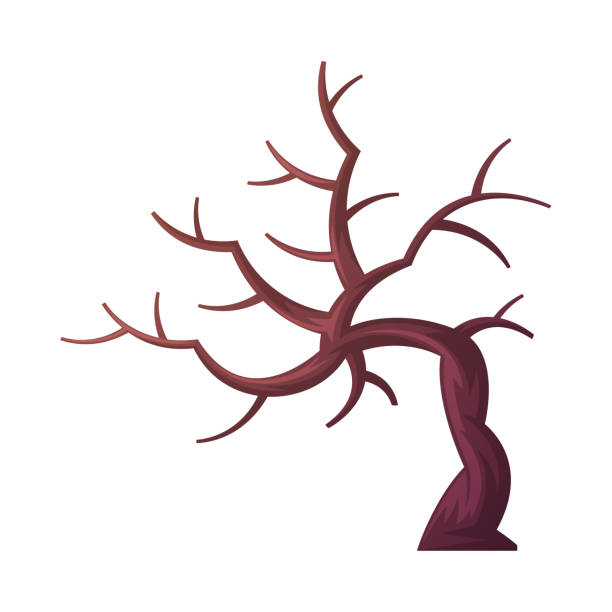 ilustraciones, imágenes clip art, dibujos animados e iconos de stock de árbol desnudo seco como elemento del desierto ilustración vectorial - computer graphic image stick tree trunk