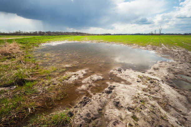 istock A puddle in the field and a cloudy sky 2111689180