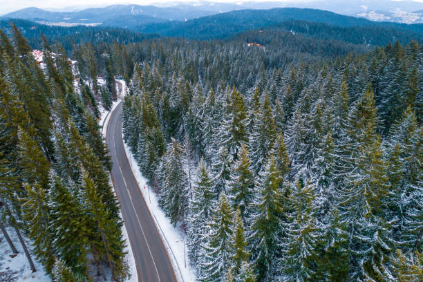 istock Road in the woods 2111693900
