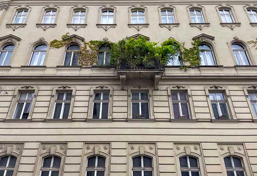 Luscious green balcony garden in Vienna with plants growing onto the building to the left and right of the balcony.