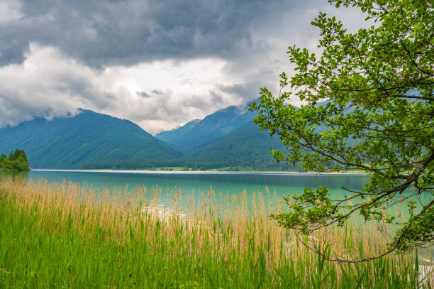 Weissensee or Weißensee lake in Carinthia in Austria within the Gailtal Alps mountain range during an overcast springtime day.