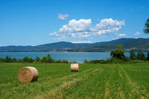 The Trasimeno lake at summer near Torricella and Monte del Lago, in Perugia province, Umbria, Italy