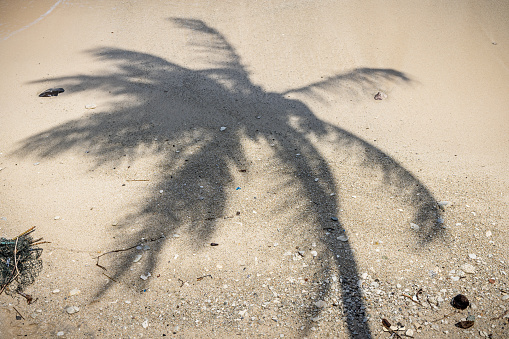 Shadow of a coconut palm on a beach outside the city of Sabang which in the main city on the island Weh north of Sumatra