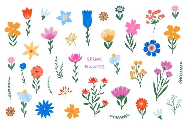Vector illustration of Decorative spring floral elements collection