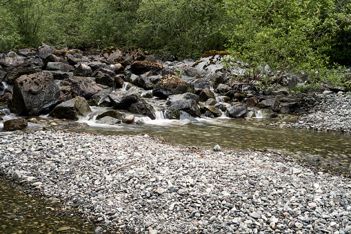 A river with low water  and a gravel bar with water rushing over the rocks behind it.  New leaves are on the bushes in the background.