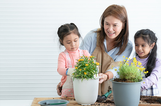 Cute Asian children girls helping her mother to care for plants. Middle aged mom and little daughter change the flower pot to a new one on messy table with garden tool and watering can at home