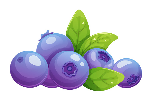 Pile, stack of blueberries with leaves on white background. Vector icon of fruits, taste, sweet food isolated