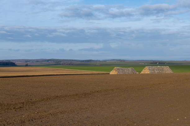 agricultural fields in winter after the snow melts, beautiful nature in the fields during warming